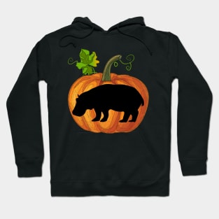 Hippopotamus in pumpkin Hoodie